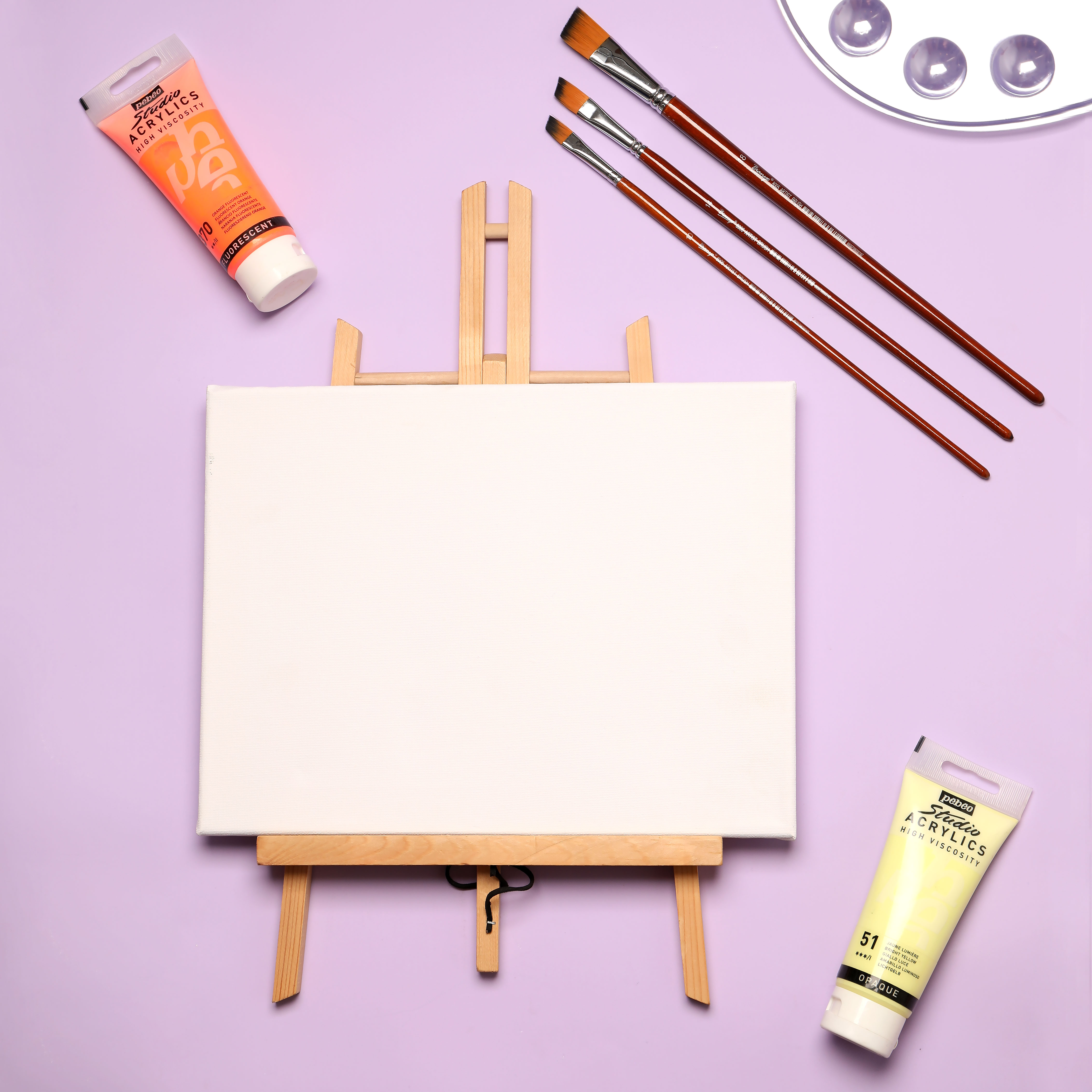 Canvas & Art Accessories