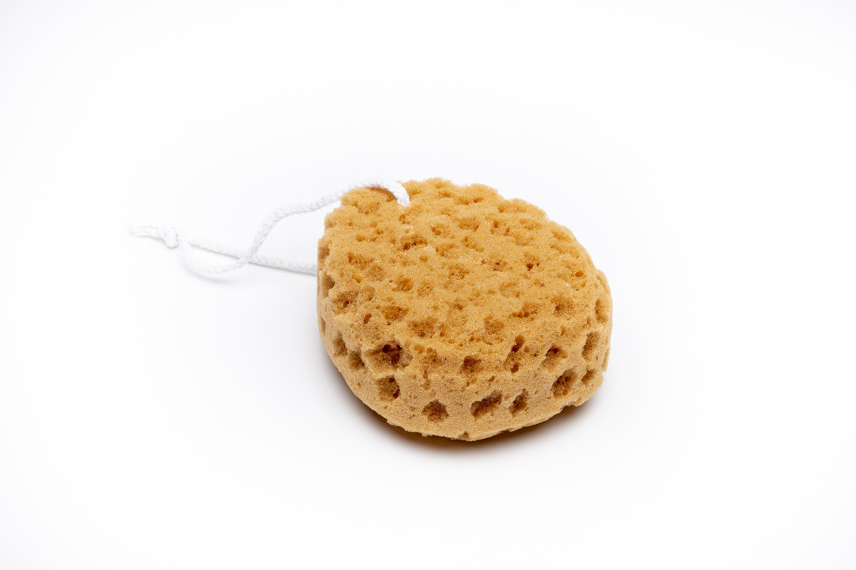 Natural sponge